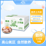 九華粮品散养土鸡蛋30枚 净重2.88斤 草鸡蛋 柴鸡蛋 笨鸡蛋