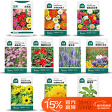 北蔬花种子大全四季开花太阳花室内室外植物向日葵花卉籽 10种花种子