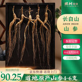 煜树山参4-6支-50克 长白山人参整枝东北林下参泡酒煲汤