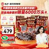 晓芹 大连冷冻即食海参500g 7-9只 辽刺参 海鲜水产