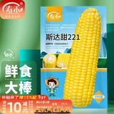 寿禾 超甜水果玉米种子大全紫糯黑甜糯可生食粘甜种孑冬春季寿光蔬菜 大棒黄甜斯达甜玉米种子100g