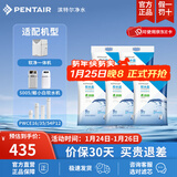 滨特尔（pentair） 滨润软水机高纯度高效通用软水盐离子交换树脂再生剂 5袋盐共50kg