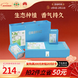日照绿茶2025新茶碧螺山无公害浓香型板栗香250g初寻茶叶礼盒山东特产礼品