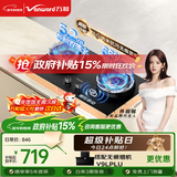 万和【蓝莲花C7L50】5.2kW天然气猛火烟灶联动无痕面板嵌入式家用煤气双炉具台燃气灶