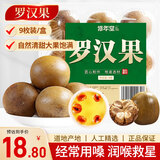 修年堂罗汉果9枚/盒 罗汉果茶果干 颗颗精选原产大果9颗泡水花草养生茶 
