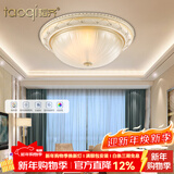 韬齐 欧式吸顶灯客厅现代简约主卧室灯美式阳台灯具 J2014-小号 直径30CM 配单色LED灯泡