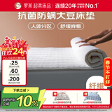 罗莱家纺 床垫四季加厚防滑宿舍软垫双人可折叠床褥子 1.8米床
