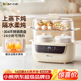 小熊（Bear）电炖锅 电炖盅 炖汤盅电炖锅 煲汤锅炖汤锅 隔水炖 婴儿煮粥锅熬粥燕窝炖盅小型1-2人DDZ-H10H6 1L