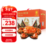 【活蟹】宿有千香霸王蟹 鲜活大闸蟹 全母蟹3.5-3.8两/只 共8只 螃蟹年货礼盒 源头直发