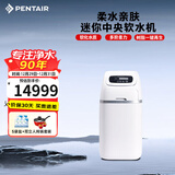 滨特尔（pentair） 鲸小白迷你软水机家用中央净水器别墅全屋水处理系统过滤设备 迷你软水机
