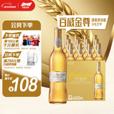 百威金尊啤酒500ml*12瓶整箱装Supreme（效期9个月）京东自营新年送礼