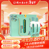 衡水老白干小青花礼盒 老白干香型白酒 50度 500ml*2瓶 整箱年货春节送礼