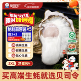 贝司令 鲜活乳山生态生蚝2XL 净重9斤 32-38只 生鲜源头直发年货送礼