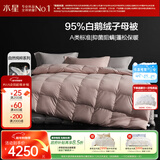 水星家纺羽绒被95%白鹅绒被子冬季冬被芯双人羽绒被220×240cm-1250g