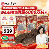 晓芹大连冷冻即食海参300g 7-10只 辽刺参 海鲜水产 年货