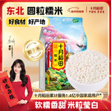 十月稻田 糯米 2斤 新米 东北圆粒 粽子米八宝粥原料 低脂粗粮 可酿米酒