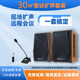 Gmtd 金迈中小型会议室音响麦克风套装USB无线话筒专业音响功放设备视频会议麦克风音响组合30-200㎡ 30平米CL01音箱+一拖一s301（1支麦）