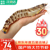 哆鲜生 海捕竹节虾 野外生长活冻国产斑节虾大花对虾九节竹节鬼虾虾类 竹节虾 特大号 5-6条 300g(净重)