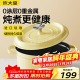 炊大皇珐琅锅铸铁锅家用炖锅砂锅汤锅焖烧锅电磁炉燃气煮锅24cm