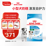 皇家狗粮幼犬狗粮幼犬奶糕宠物小型犬MIJ31全价犬粮2-10月8KG