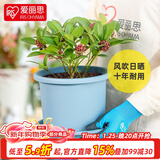 爱丽思（IRIS）花瓶彩色Deepot圆形月季铁线莲花盆园艺批发树脂花盆塑料盆 9号雾霾蓝【带托