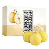 东鲜丰山西雪花梨酥梨冰糖雪梨贡梨新鲜梨子水果现摘现发高品质水果整箱 净重5斤精选大果【75-85mm】