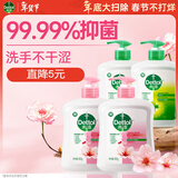 滴露（Dettol）洗手液抑菌杀菌消毒 滋润450g*2+松木450g*2儿童家庭补充装温和