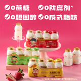 界界乐（Jelley Brown）乐乐乳酸菌乳品 水果口味益生菌 100ml*4瓶 尝鲜装儿童奶