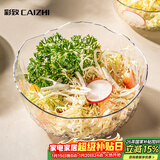 彩致（CAIZHI）日式棱纹银边水果碗沙拉碗家用 客厅茶几零食果盘 透明中号CZ6876