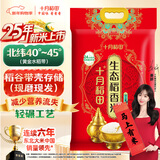 十月稻田 2025年新米 稻香米 20斤（东北大米 香米 10公斤/二十斤）