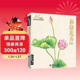 经典全集《彩铅花卉》彩色铅笔绘画入门教程书籍临摹零基础初学者成人温情乐鸟手绘插画多肉人物古风儿童教材