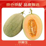 京鲜生 海南哈密瓜 西州蜜/西周蜜 1粒装 单果2.5斤起 生鲜水果