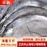 惊鲜东海舟山带鱼整条 去冰净重4斤/5斤 带鱼礼盒 年货送礼 源头直发 段宽肉厚整条带鱼净重5斤 大号