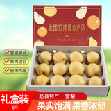 京觅河北赵县特产赵州雪花梨单果300g起8斤冰糖雪梨 礼盒装源头直发