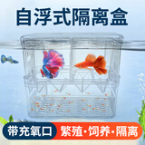 备能（BEINENG）孔雀鱼繁殖隔离盒大号鱼缸孵化盒分养箱小鱼用分离盒母鱼产卵房