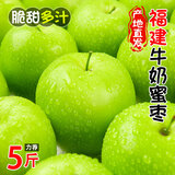 春福乐福建牛奶大青枣 贵妃蜜枣脆甜枣当季新鲜孕妇水果现摘送礼整箱 5斤严选装【单果60g+】净重4.5斤