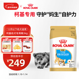 皇家柯基狗粮 幼犬粮  中型犬 12月以下 全价粮CGJ29 3KG【骨骼呵护】