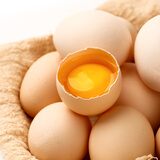 七鲜 安心无抗鲜鸡蛋10枚500g