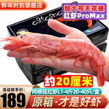鲜味时刻原装进口冰川阿根廷红虾净重4斤 新鲜大虾超大生鲜红魔虾海鲜水产 L1规格 约20-40只 4斤(净重)