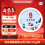 伊利宫酪低温酸奶缤纷凝酪蓝莓山药风味酸奶220g/杯