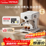 柏翠(petrus) 咖啡机意式浓缩家用小型半自动蒸汽打奶泡PE3833海盐小方 新年礼物