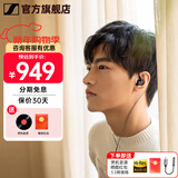 森海塞尔（Sennheiser）IE900/IE600/IE300旗舰级HIFI高保真超宽单动圈单元可拆卸MMCX挂耳式耳机 高保真发烧有线耳机耳塞 IE200 【热款HIFI高保真】