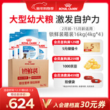 皇家狗粮 幼犬狗粮 幼犬奶糕宠物大型犬MAJ30全价犬粮2-15月4KG*4