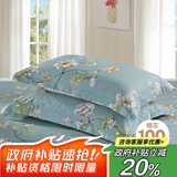 艾薇 A类枕头套纯棉家用全棉单人枕套一对枕芯套 清馨花园 48*74cm