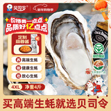 贝司令 鲜活乳山生态生蚝4XL 净重4斤 8-11只 生鲜源头直发年货送礼