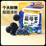 三只松鼠蜜饯系列蔓越莓干蓝莓干水果干蜜饯果脯休闲零食酸甜解馋开胃小吃 【推荐-量贩袋装】蓝莓干500g