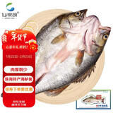 仙泉湖三去白蕉海鲈鱼 400g/条净膛冷冻刺少肉厚特产年货食材生鲜水产