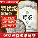 养益君 芽尖莓茶50g 新茶  张家界莓茶特级芽尖莓茶龙须藤茶永顺霉茶