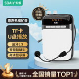 索爱（soaiy）S318小蜜蜂扩音器教师专用蓝牙音箱音响小喇叭TF卡U盘录音麦克风户外导游便携式教学Type-c 黑