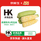 京鲜生&东升供港东升1号玉米3斤  单果200起清甜爆汁水果玉米源头直发